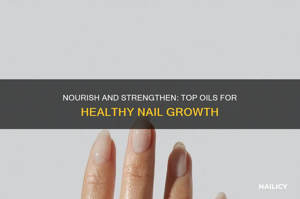 what are the best oils for nail growth