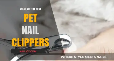 Top Pet Nail Clippers for Safe and Stress-Free Grooming