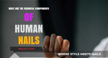 Unveiling the Chemical Composition of Human Nails: A Detailed Analysis