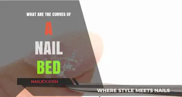 Understanding the Natural Curves of a Healthy Nail Bed