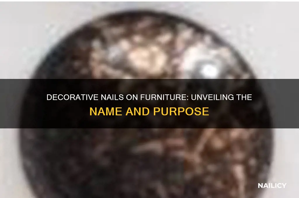 what are the decorative nails on furniture called