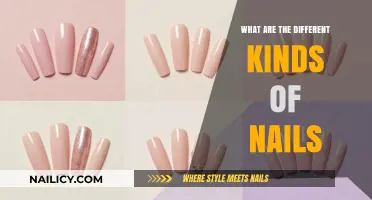 Exploring Various Types of Nails for Every Purpose and Project