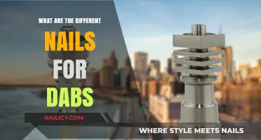 Essential Dab Nails: Types, Materials, and Best Uses Explained