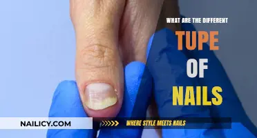 Exploring Nail Types: From Common to Specialty Varieties