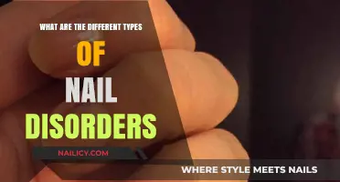 Understanding Nail Disorders: Types, Causes, and Treatment Options Explained