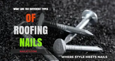 Exploring Various Roofing Nails: Types, Uses, and Best Applications