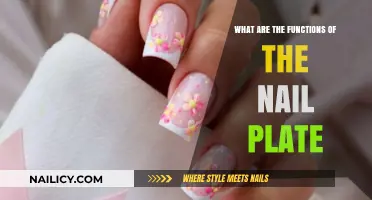 Understanding the Nail Plate: Essential Functions and Importance Explained