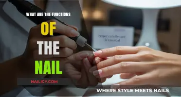 Understanding the Essential Functions of Nails in Human Health
