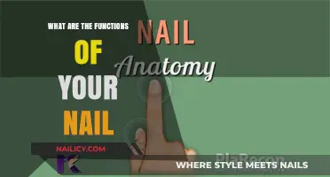 Unveiling the Surprising Functions of Your Nails: Beyond Beauty and Protection