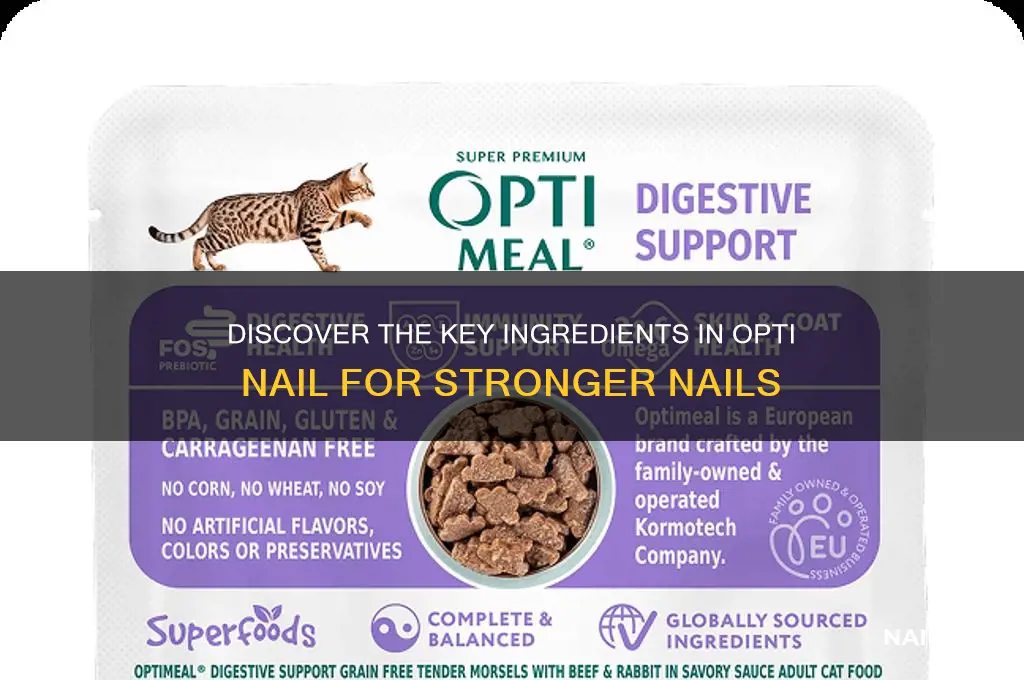 what are the ingredients in opti nail