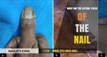 Understanding Lateral Nail Folds: Structure, Function, and Common Issues