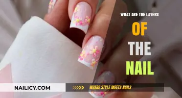 Understanding the Complex Layers of the Nail Structure and Function