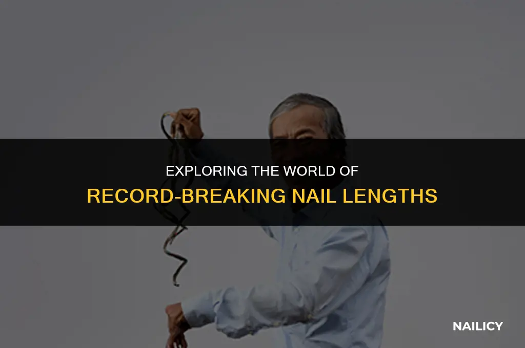 what are the longest nails