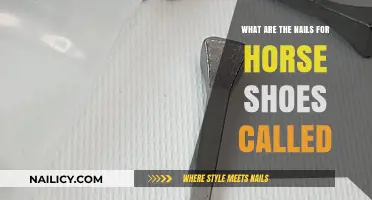 Understanding Horse Shoe Nails: Types, Uses, and Importance