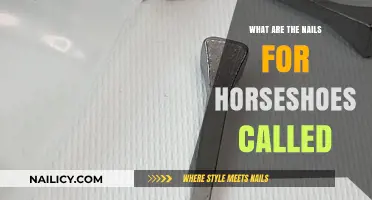 Understanding Horse Shoe Nails: Types, Uses, and Importance