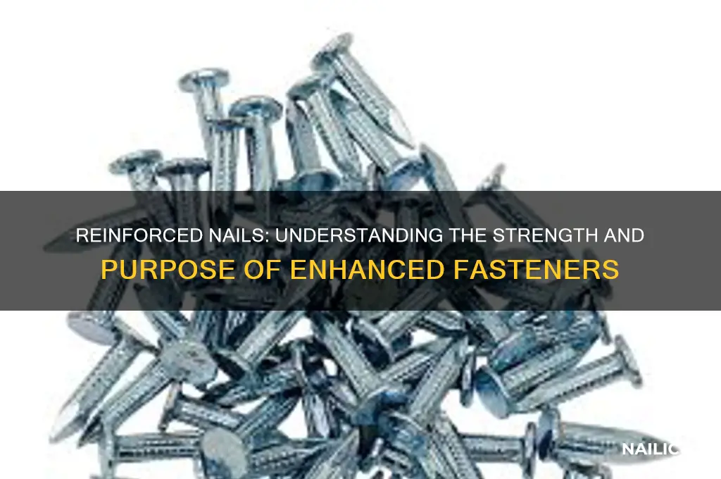 what are the nails with the reinforcement called