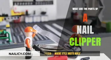 Understanding the Essential Components of a Nail Clipper Tool