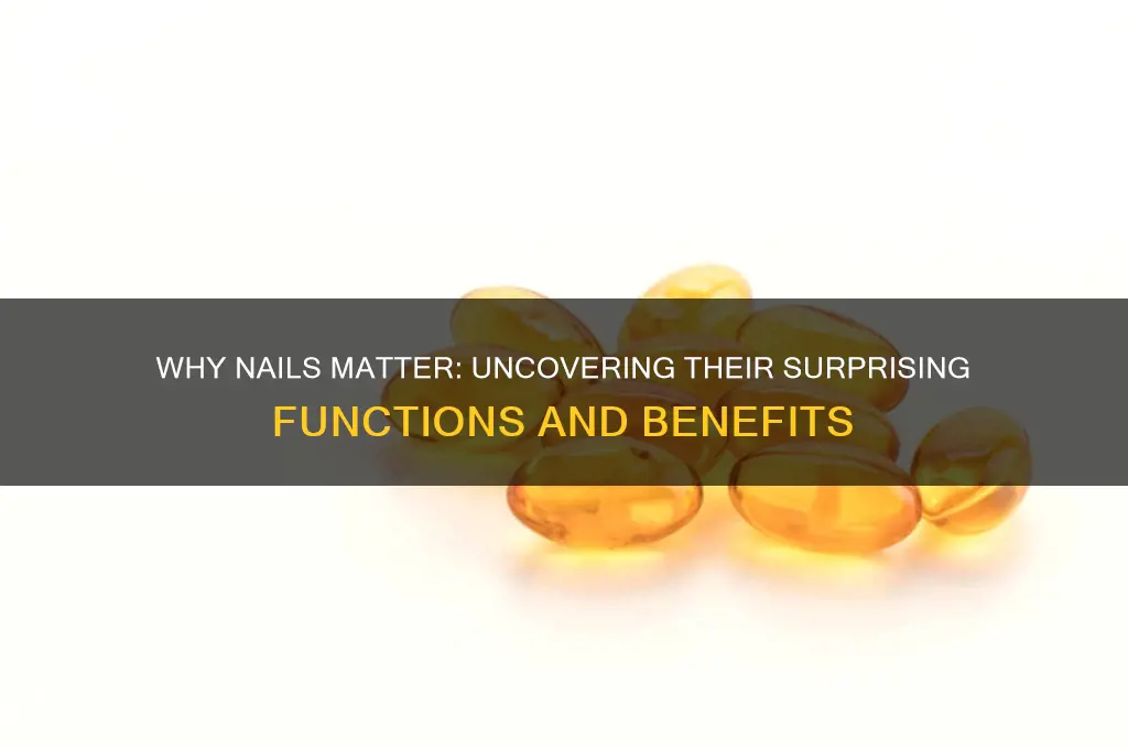 what are the purpose of having nail