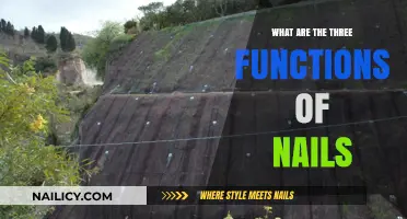 Nail Functions Explained: Protection, Manipulation, and Beyond