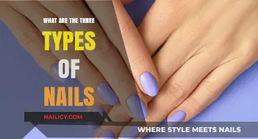 Understanding the Three Main Types of Nails and Their Uses