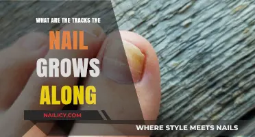 Nail Growth Tracks: Understanding the Path of Nail Growth