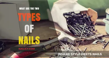 Understanding the Two Main Types of Nails and Their Uses