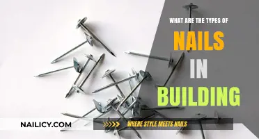 Essential Types of Nails for Construction and Building Projects