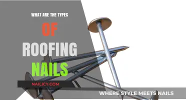 Essential Roofing Nails: Types, Uses, and Best Applications Explained