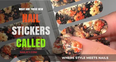 Discover the Latest Trend: What Are Those New Nail Stickers Called?