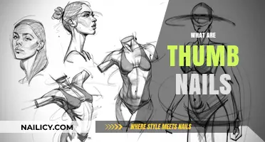 Exploring the World of Thumbnails: A Comprehensive Guide