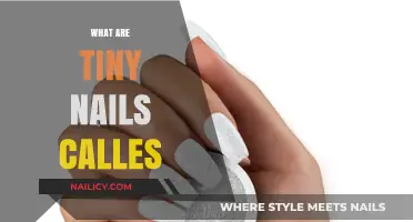 Exploring the World of Miniature Fasteners: What Are Tiny Nails Called?