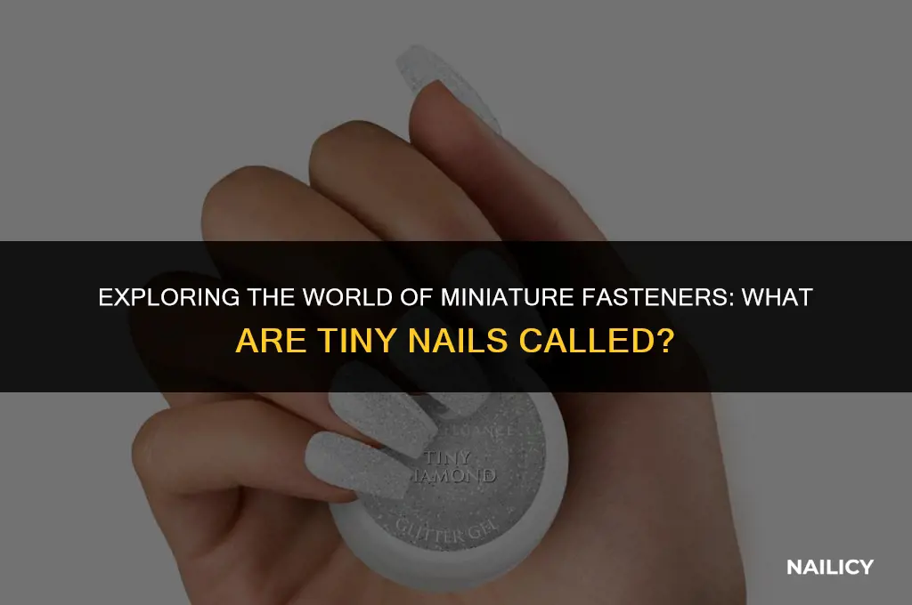 what are tiny nails calles