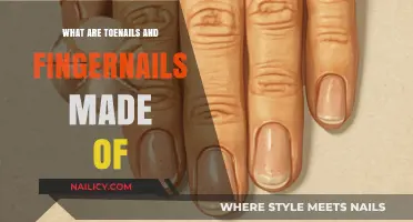 Toenails and Fingernails: Unveiling the Composition of Our Nail Structure