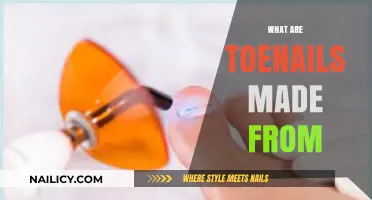Unveiling Toenail Composition: Keratin, Structure, and Growth Explained