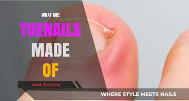 Unveiling Toenail Composition: Keratin, Structure, and Essential Functions Explained