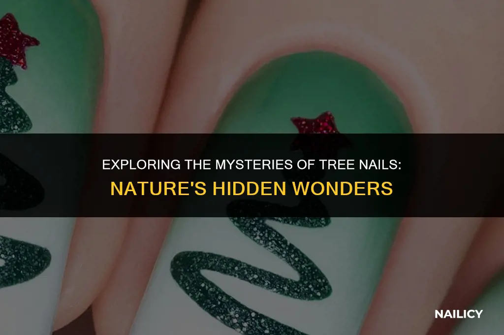 what are tree nails