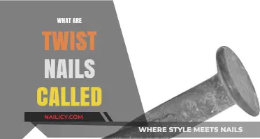 Exploring the World of Fasteners: What Are Twist Nails Called?