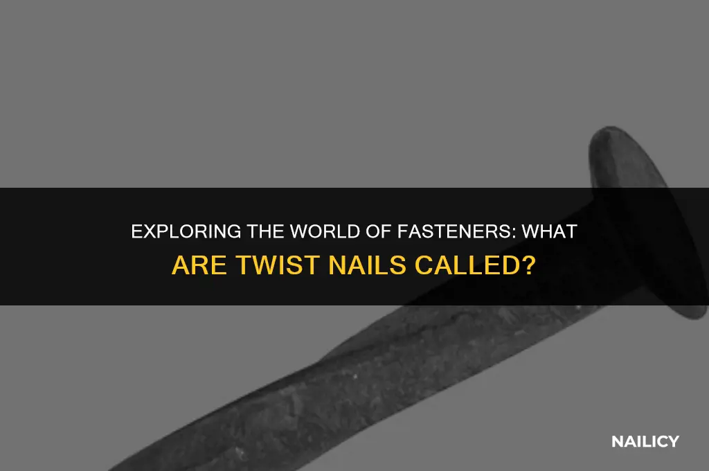 what are twist nails called