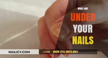 Unveiling the Hidden World Beneath Your Fingernails