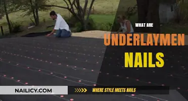 Exploring the Essentials: What Are Underlayment Nails?