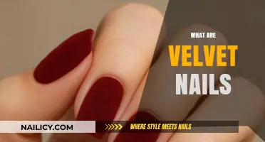 Velvet Nails: A Soft, Textured Trend Taking Over Manicures