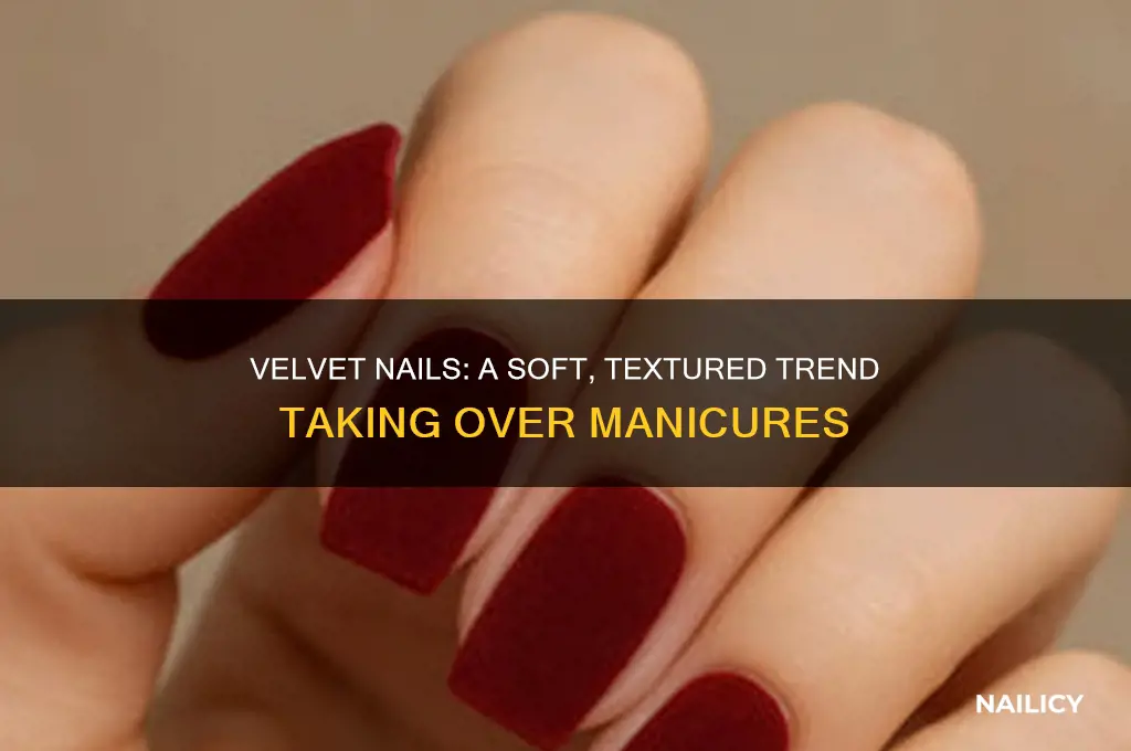 what are velvet nails