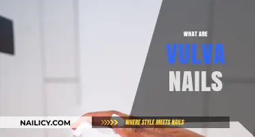 Exploring Vulva Nails: A Comprehensive Guide to Their Care and Significance