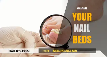 Understanding Nail Beds: Essential Functions and Health Indicators Explained