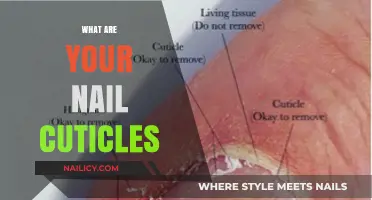 Understanding Your Nail Cuticles: A Comprehensive Guide