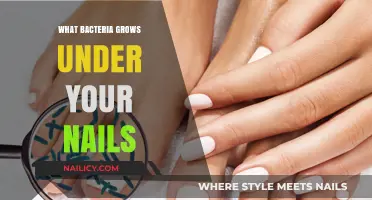 The Bacteria Hiding Under Your Nails