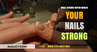 Beyond Biotin: Essential Nutrients for Stronger, Healthier Nails