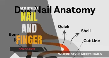 The Nail and Finger: A Delicate Relationship