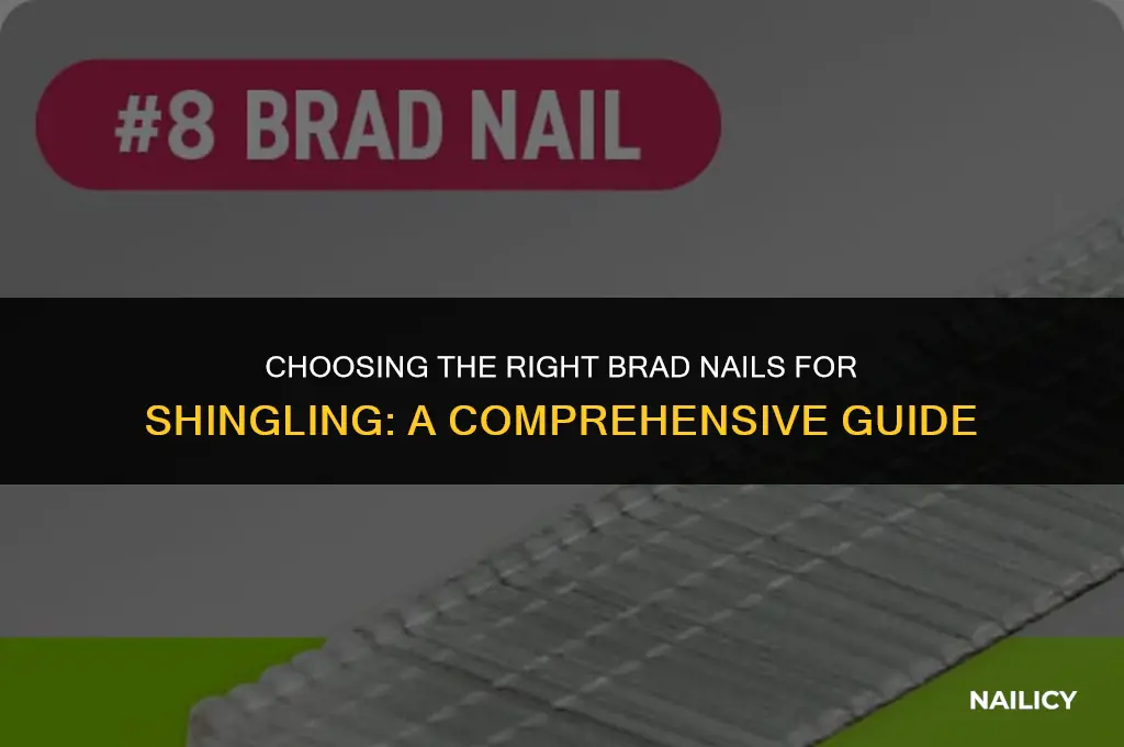 what brad nail for shingles
