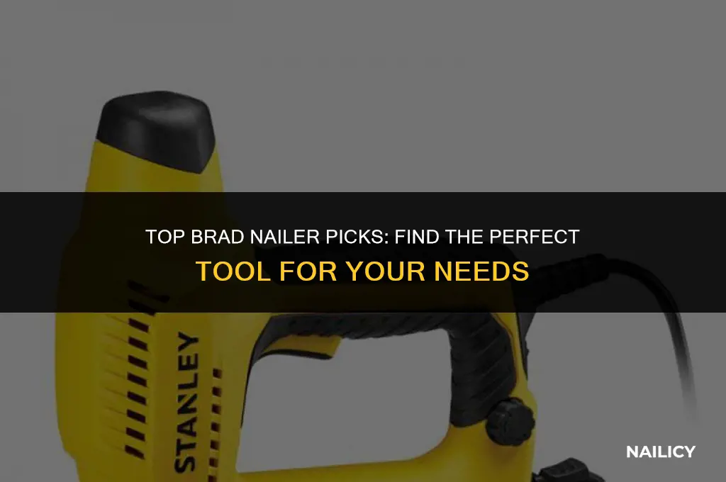 what brad nailer to buy